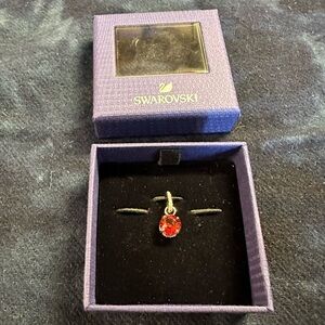 Swarovski Remix Red Birthstone January Charm